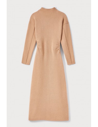 BEIGE Wool and Cashmere Midi Dress with High Neck Par le système avancé 