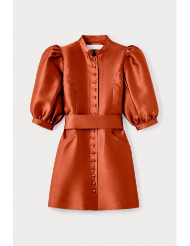 Terracotta Satin Puff Sleeve Mini Dress sélection de produits