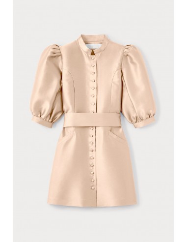 Nude Satin Puff Sleeve Mini Dress offre 