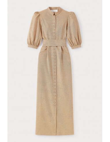 CHESTNUT Puff Sleeve Maxi Dress une grave pollution 