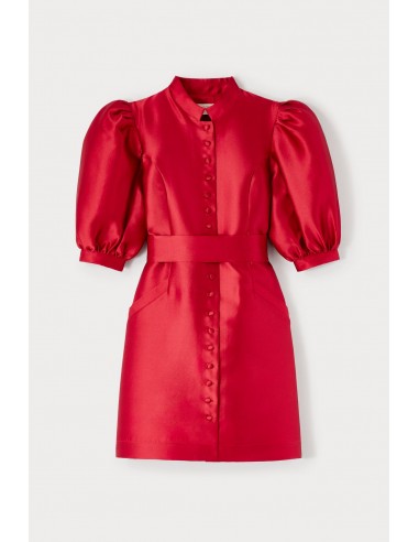 Red Satin Puff Sleeve Mini Dress 50% de réduction en Octobre 2024